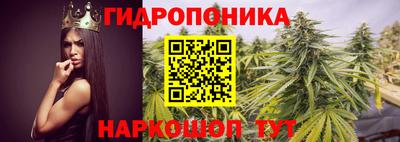 ALPHA PVP Партизанск