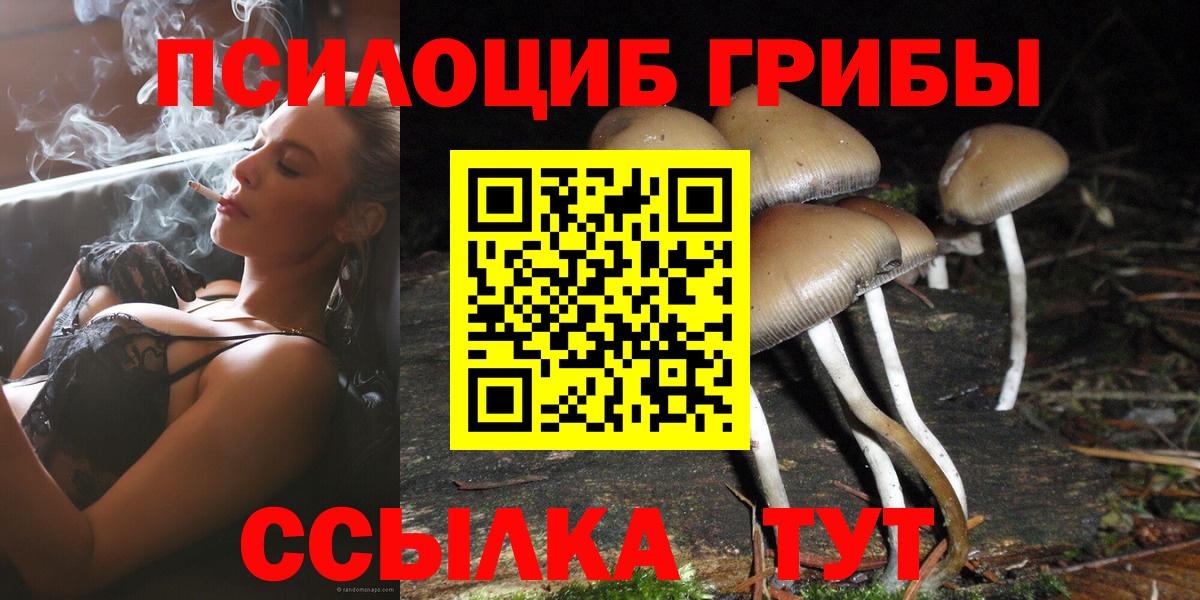 Псилоцибиновые грибы Psilocybe  Вход с VPN  Среднеуральск  Псилоцибиновые грибы MAGIC MUSHROOMS 